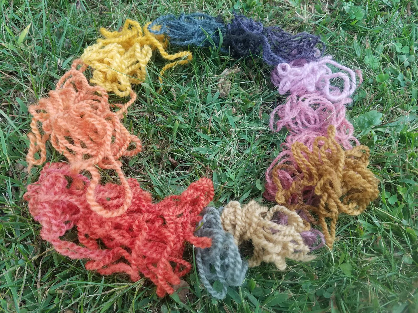 Fungi & Fibers: The Art of Mushroom Dyeing Course