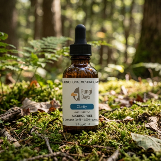 Lions Mane Tincture – Focus & Cognitive Support