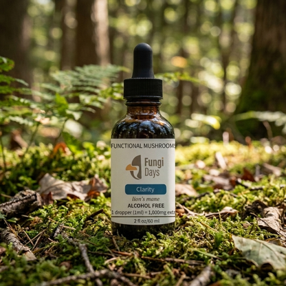 Lions Mane Tincture – Focus & Cognitive Support