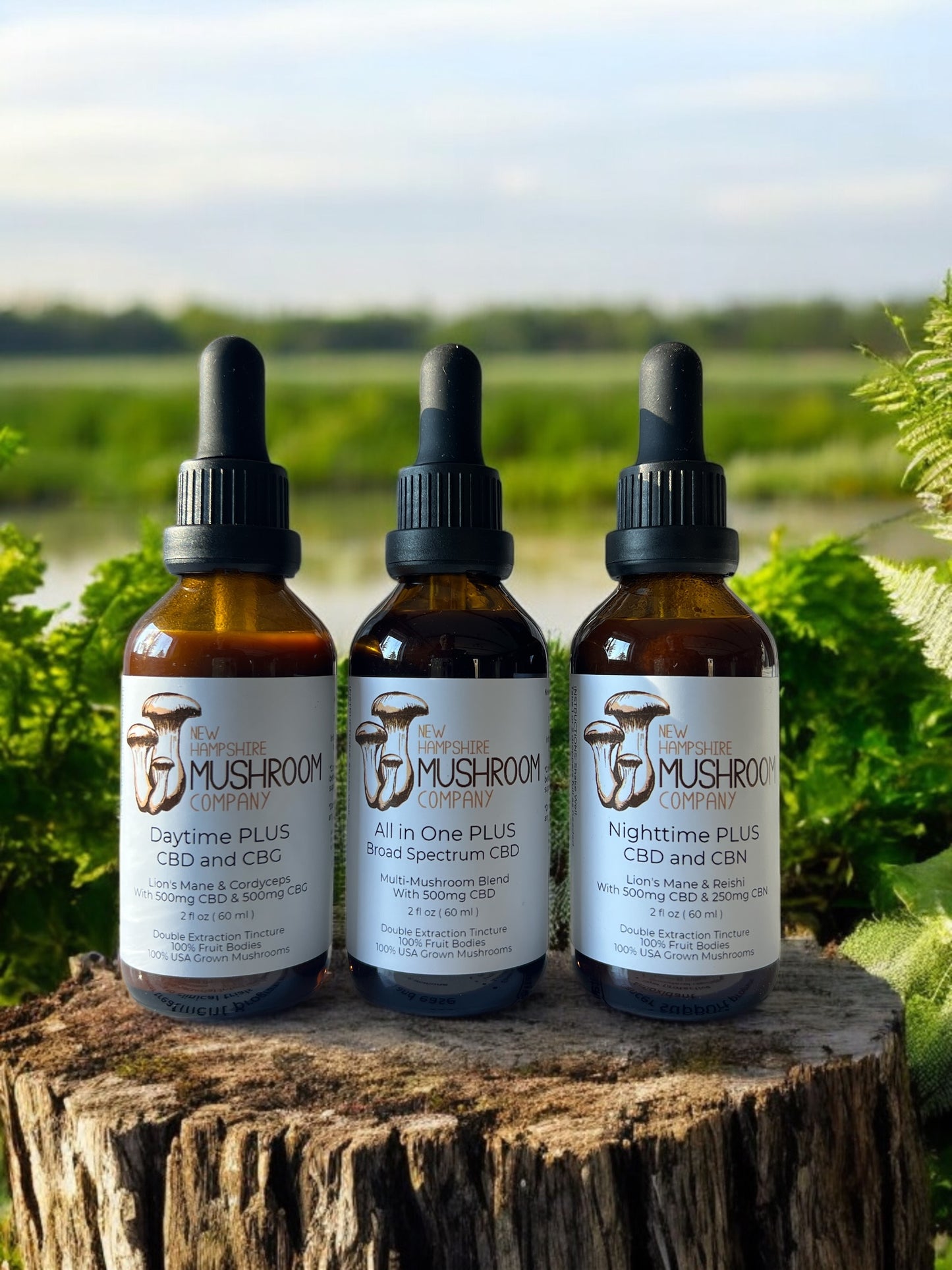 Mushroom CBD Tincture Set