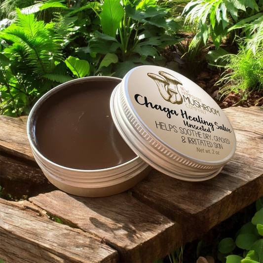 Chaga Healing Salve