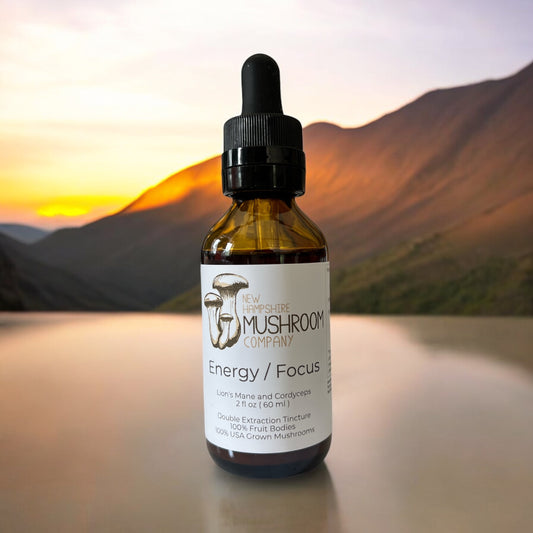 energy and focus tincture with lions mane and cordycep medicinal mushrooms