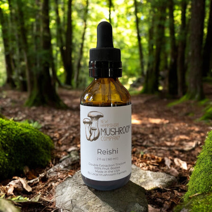 Bottle of Reishi medicinal mushroom tincture on a forest path with trees and moss in the background.